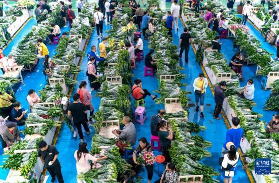 Рынок Доунань в городе Куньмин – «цветочная столица Азии»