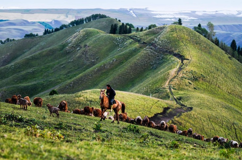 В первом полугодии объем инвестиций в Синьцзян превысил 355 млрд юаней