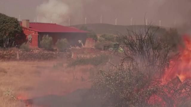 Экстремальная жара в Испании за неделю унесла жизни 679 человек