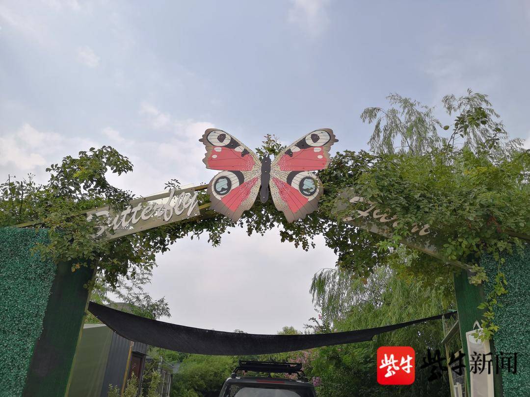 Китаец ежегодно зарабатывает 700-800 тыс. юаней на изготовлении чучел бабочек
