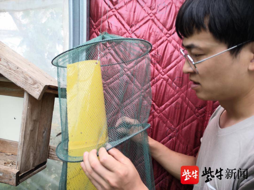 Китаец ежегодно зарабатывает 700-800 тыс. юаней на изготовлении чучел бабочек
