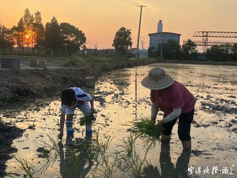 Ученик во время летних каникул помогает деду заниматься земледелием
