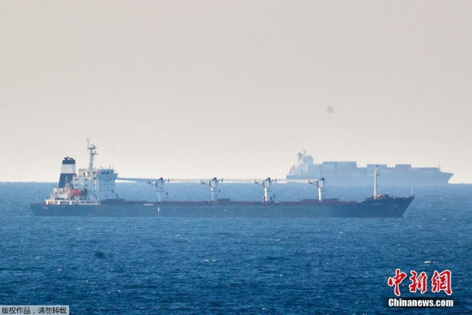 Первое судно с зерном из Украины встанет на якорь у берегов Стамбула для инспекции