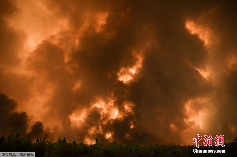 6 тыс человек эвакуированы из-за лесных пожаров на юго-западе Франции
