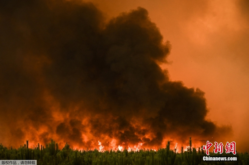 6 тыс человек эвакуированы из-за лесных пожаров на юго-западе Франции