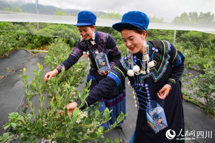 Родина праздника факелов народности И – уезд Буто в провинции Сычуань