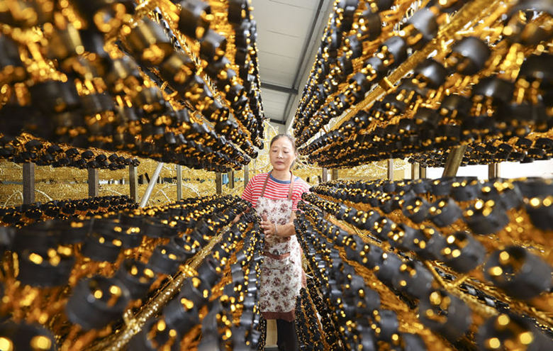 В китайском городе Ляньюньган развивается индустрия обработки крышек для бутылок