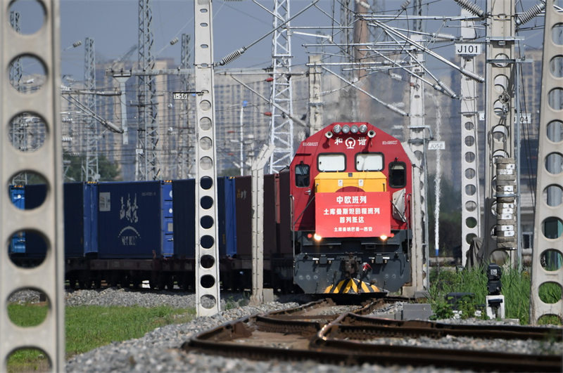 Грузовой поезд Китай-Европа с лекарственным сырьем для китайской медицины из Туркменистана прибыл в город Сиань