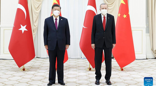 Си Цзиньпин встретился с президентом Турции Р. Т. Эрдоганом