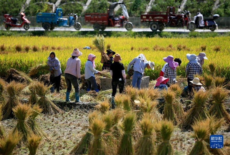 Си Цзиньпин поздравил китайских крестьян с Праздником урожая