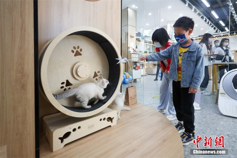 В Пекине открылся первый тематический книжный магазин домашних животных