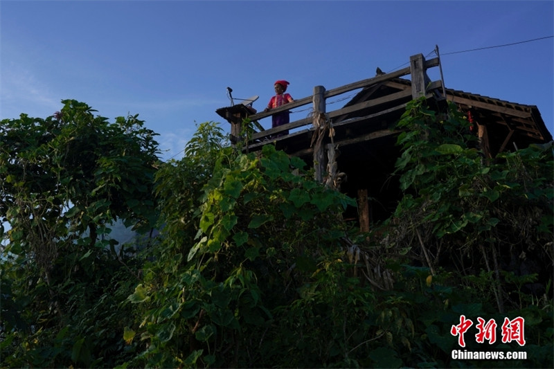 Визит в «тысячелетнюю древнюю деревню народности булан» в провинции Юньнань