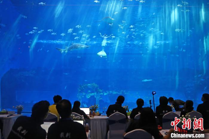 Открытый чемпионат Китая по русалочьему плаванию 2022 состоялся в Наньчане
