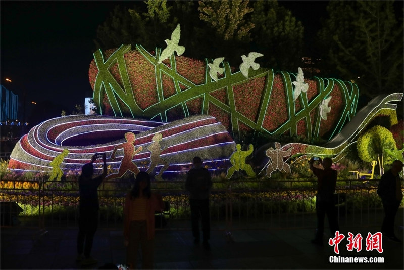 В Пекине появились большие цветочные клумбы в честь Национального праздника КНР