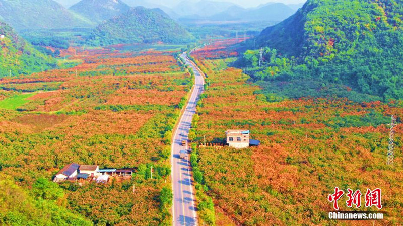 «Великолепное шоссе» в осень в Гуанси-Чжуанском АР