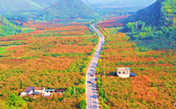 «Великолепное шоссе» в осень в Гуанси-Чжуанском АР