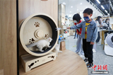 В Пекине открылся первый тематический книжный магазин домашних животных