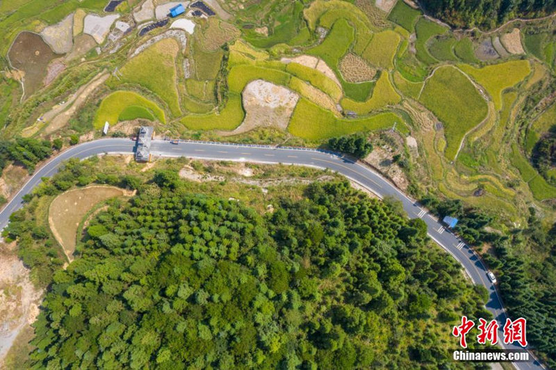 Сельские дороги в провинции Гуйчжоу способствуют развитию сельских районов
