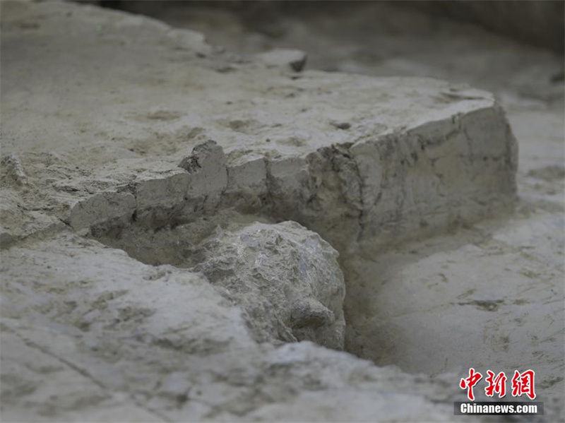 В провинции Хубэй обнаружена окаменелость человеческого черепа