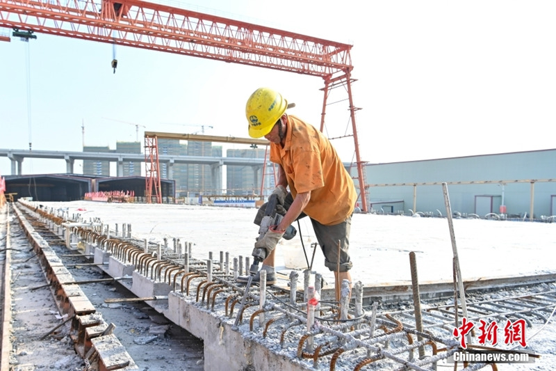 Завершилось производство всех бетонных коробчатых балок для моста Шэньчжэнь-Чжуншань