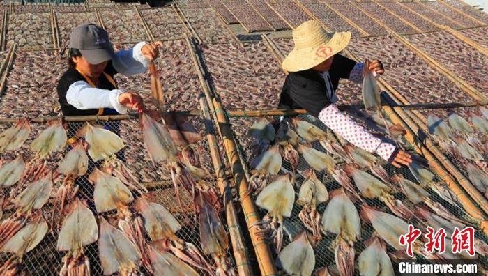 Сушка рыбы на солнце в Юго-Восточном Китае