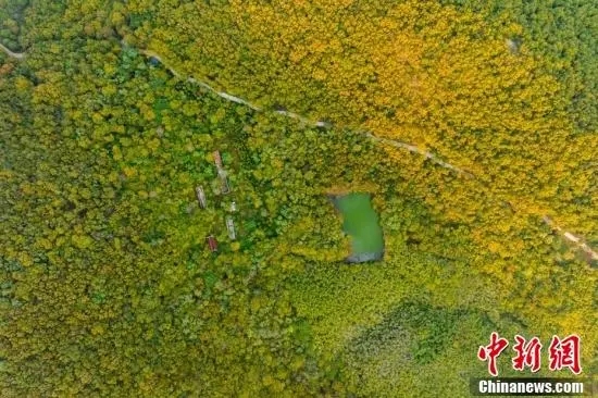 Завораживающие осенние пейзажи разных уголков Китая