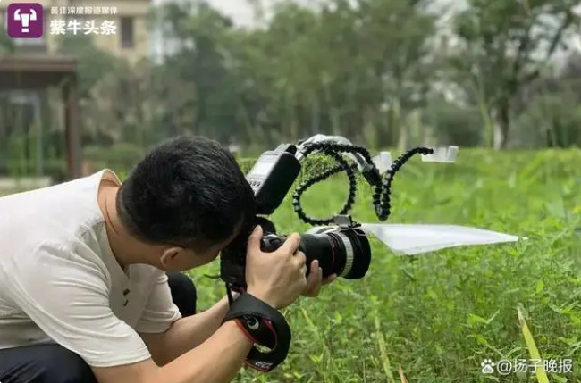 Фотография китайского программиста стала победителем международного конкурса микроскопических снимков