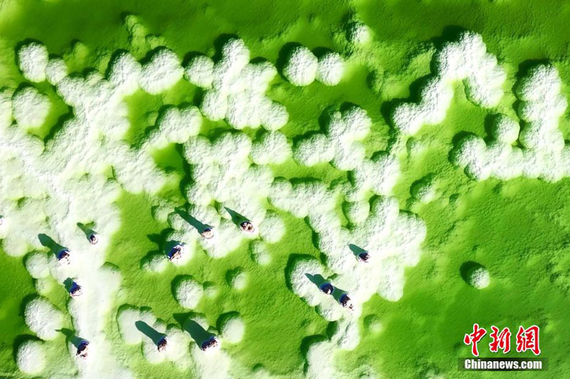Изумрудное соленое озеро Кархан на северо-западе Китая
