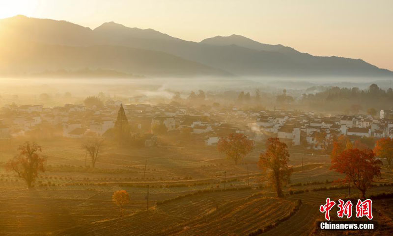Утренняя деревенская красота в провинции Аньхой Китая
