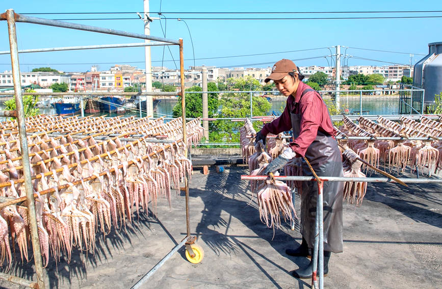 Рыбаки Гуанси сушат морепродукты