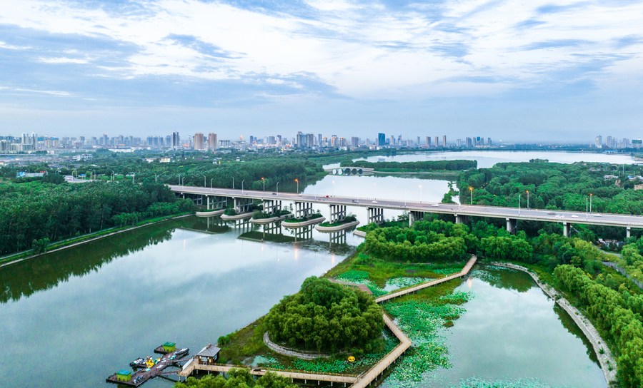 10 июля 2022 года, вид на национальный парк водно-болотных угодий "Сяохэ" в городе Сяои провинции Шаньси на севере Китая. /Фото: Синьхуа/