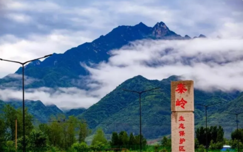 Горы Циньлин стали самым зеленым районом в Китае