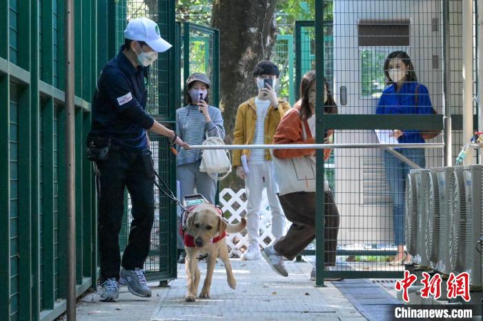 В Сянгане открылась первая школа дрессировки собак-поводырей