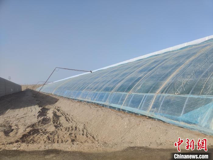 Визит на сельскохозяйственную базу в пустыне Гоби Синьцзяна