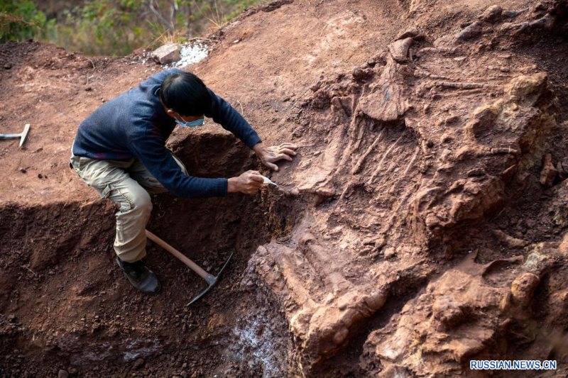 В провинции Юньнань обнаружены новые останки динозавров
