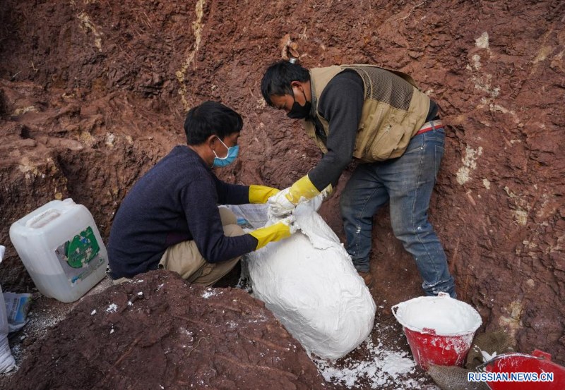 В провинции Юньнань обнаружены новые останки динозавров