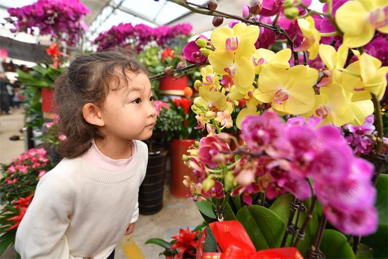 В Цветочном центре города Циндао в провинции Шаньдун начался сезон продажи цветов к Празднику Весны. Фото: Ван Хайбинь