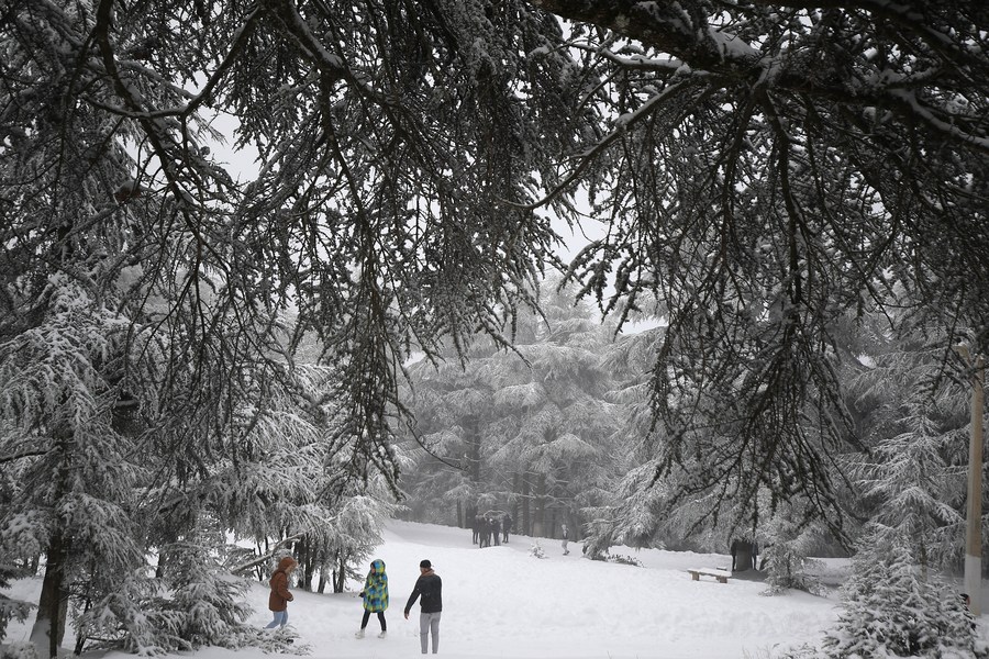 Снег на севере Алжира
