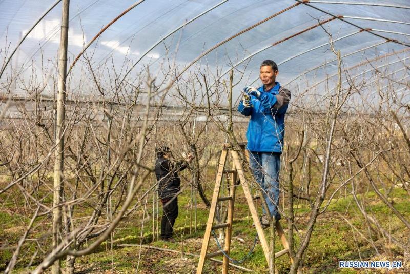 Весенняя вспашка и подготовка к сельхозработам в Китае