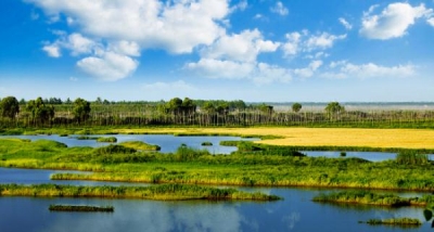 18 водно-болотных угодий Китая признали новыми объектами международного значения