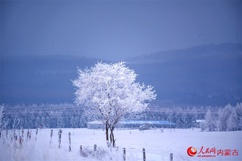 Завораживающие зимние пейзажи в хошуне Хэшигтэн Внутренней Монголии