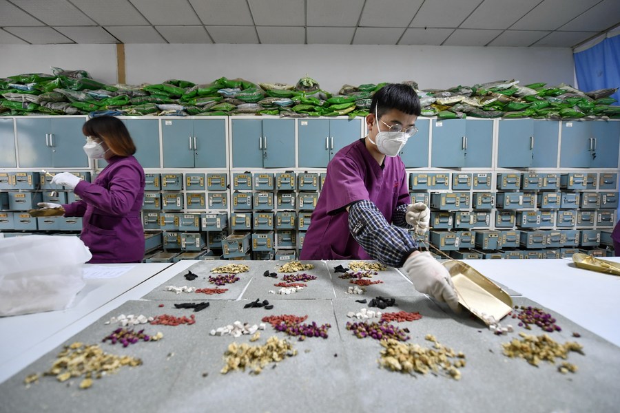 15 января 2023 года, фармацевты распределяют лекарства традиционной китайской медицины /ТКМ/ в больнице ТКМ в районе Фэннань города Таншань пров. Хэбэй на севере Китая. /Фото: Синьхуа/
