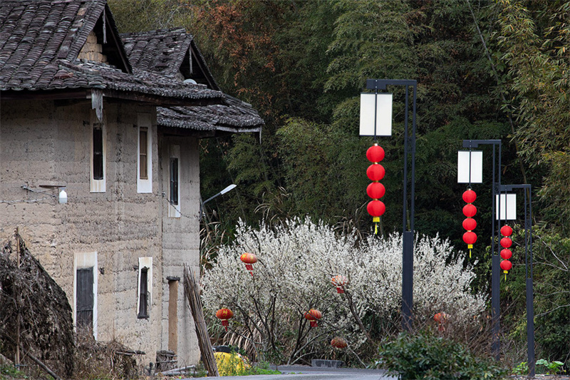Фуцзяньские дома «тулоу» в окружении цветущих садов