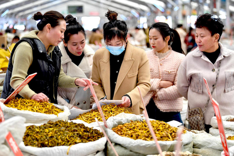 Оживленная торговля на рынке лекарств в провинции Аньхой