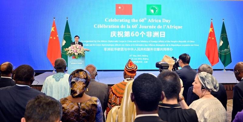 Глава МИД КНР призвал Китай и Африку укреплять взаимную поддержку и стратегическое сопряжение