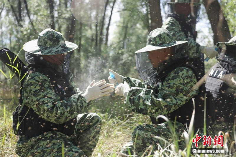 Как полиция Синьцзяна патрулирует границу в “Королевстве комаров”?