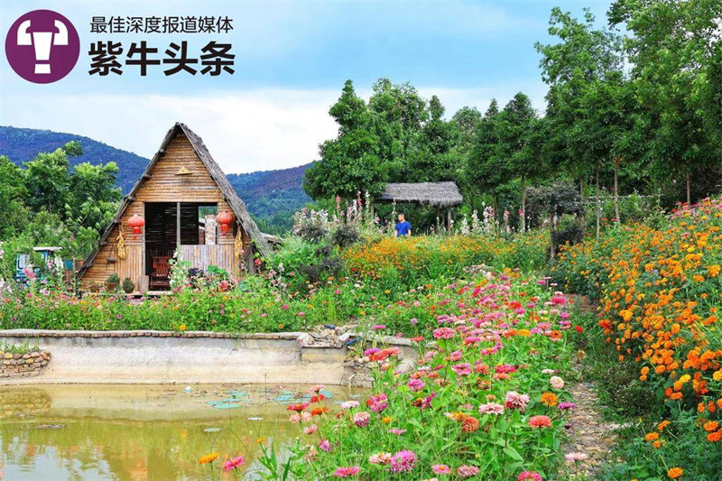 Китайский фермер создал сказочный дворик