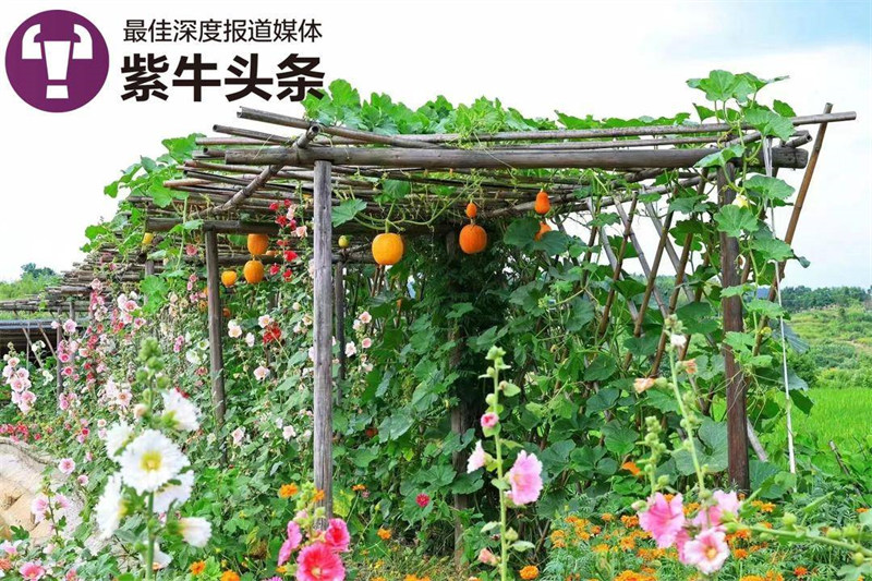 Китайский фермер создал сказочный дворик