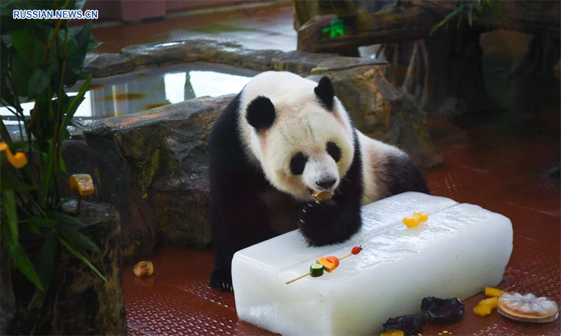 В Гуанчжоуском зоопарке животных спасают от жары