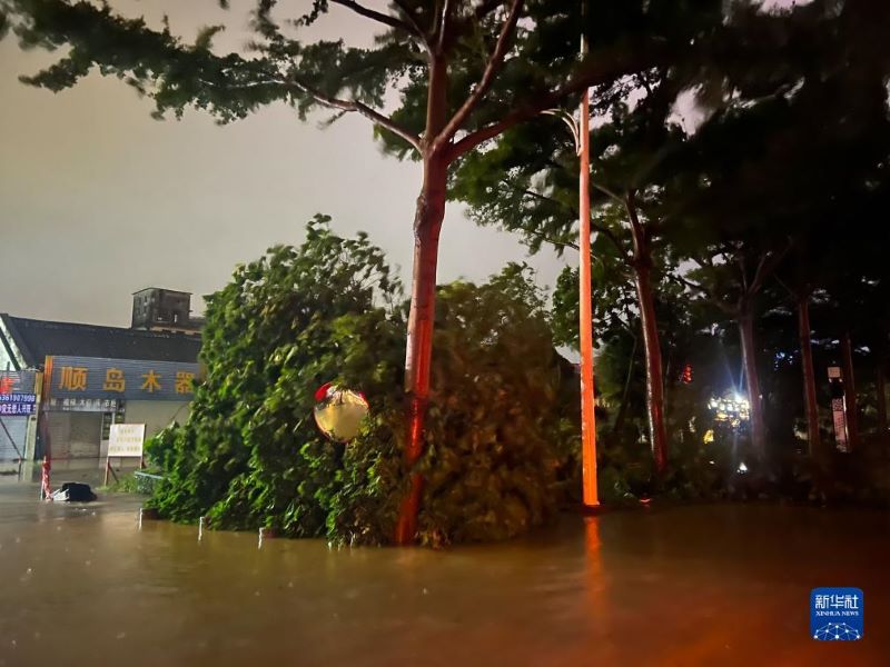 Тайфун "Талим" обрушился на китайскую провинцию Гуандун